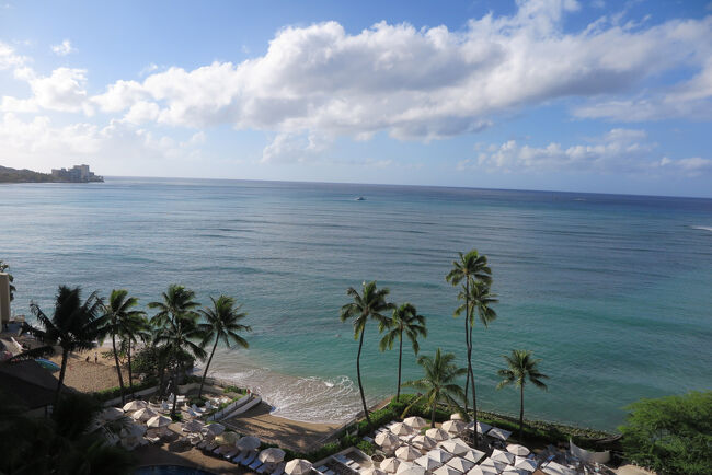今日も気持ちの良い朝です