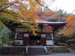 地蔵院の本堂。
地蔵院の正式名称は、衣笠山地蔵院で夢窓国師を開山とする寺院です。
鎌倉時代の公卿・歌人であった藤原家良の山荘跡に、室町幕府三代将軍・足利義満時代の管領であった細川頼之により伽藍が建立されました。
