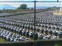 スゴイ量の壺が並んでいました．