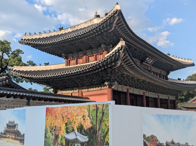 南楊州市の奉先寺からソウルに戻ってきた<br />そういえば5月にソウルに来た時、景福宮の横をバスで通ると観光客がいっぱいいた<br />夜間遅くまでやってんねんな<br />他の王宮も遅くまでやってんのかなと調べたら<br />昌慶宮も20時か21時までか遅くまでやってた<br />昌慶宮に行くことにした<br />が、間違えて昌徳宮に行ってしまった<br />あれ、閉まってるやん、なんでや<br />近くにいる係員に聞いたら、昌徳宮ではないと昌慶宮の入口を教えてくれた<br />