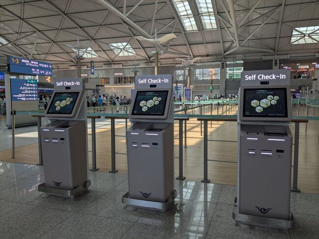 預け荷物ナシ、チェックインを済ませる