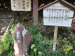 程なく「割石坂」。曽我五郎が富士の裾野に仇討ちに向かう時、腰の刀の切れ味を試そうと路傍の巨石を真っ二つに切り割ったところと伝えられているそうです。