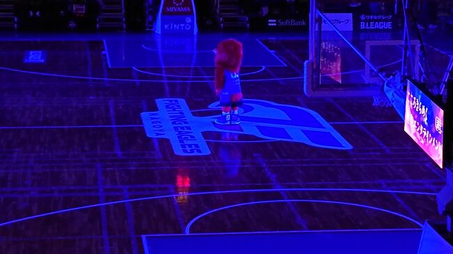 暗転演出時の場内。青基調で、幻想的でした。