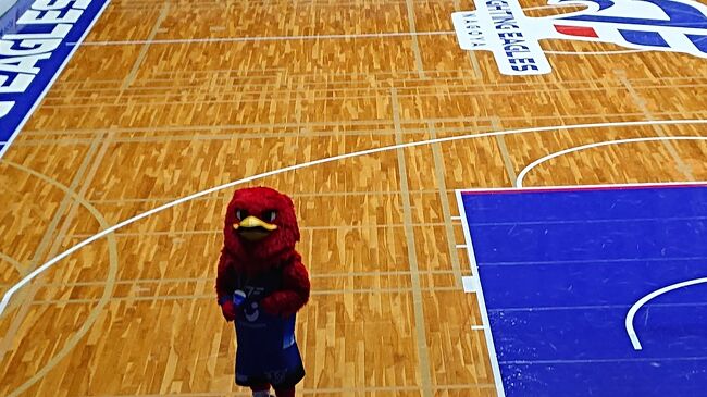 ゴール付近での、FE名古屋マスコット「リード君」 