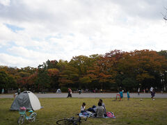 清澄公園も少し色づいていました。多くの家族が楽しんでいました。
