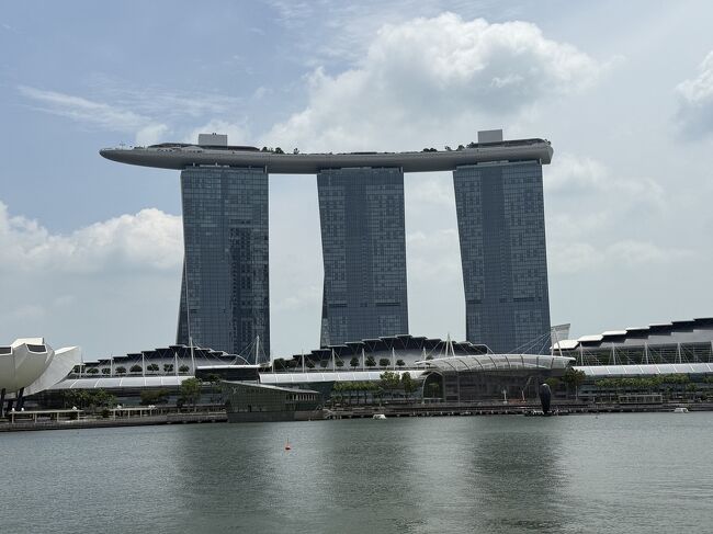 対岸にはマリーナベイサンズが見えます。<br />徒歩で移動。<br />しかし結構距離があったのでバスに乗ればよかった…（足が棒）