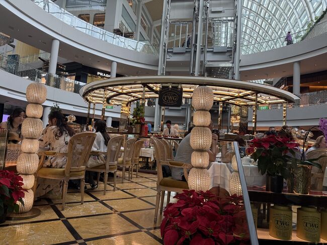 twgの店舗に入ってみます