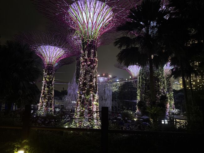 19:45 ショーがスタート<br />時期的にクリスマスっぽい曲に合わせたショーなのかと思いましたが、普通でしたね。オペラ座の怪人とか、有名曲を使用。どういう曲チョイスなんだろう。<br />小雨でしたが綺麗でした。<br /><br />このあとはスペクトラを見ようかと思いましたが疲れていたので、軽くカジノを覗いて帰ることに。