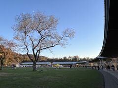 最後に軽井沢駅横のアウトレットにも寄ってみましたが、特に欲しい物もなく歩きすぎて疲れたので、新幹線の時間を少し早めて東京へ。
日帰りでしたが、自然いっぱいの中でかなりストレス発散できました。