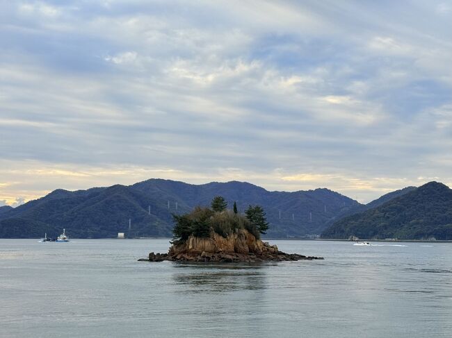 内海の入り組んだ水道はとても穏やかで、朝凪の海というよりは大きな湖と言った感じ。これを瀬戸と言うんだね。