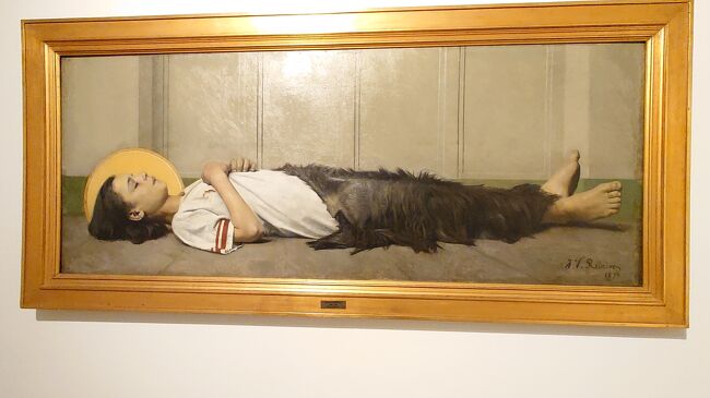 Joaquim Vitrio Ribeiro 1849-1928