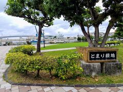 午後は泊港(通称とまりん)を散策してみます。