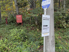 終点「新島々駅」に電車が着くと、バスがもう待ってました。このバスを逃すわけにはいかない。でもバスの切符を買わないといけない。焦るわ～。バス会社の人は「大丈夫、大丈夫」って呑気に言ってくれるんですがね～。

出発して約40分後「さわんどバスターミナル」に到着。バス会社の人が「○番乗り場に行ってくださ～い」って言ってます。出発までの間にトイレに行く時間があるんだかないんだか、、。みんな乗り終えた時点で出発。大変なアナログの世界でした。

乗り換えたバスには女性の車掌さんが乗ってきました。バスが動き出して納得。物凄い狭いピストンカーブ連続の山道に入っていきます。車掌のアシストがないと運転手からは死角になる部分が多くて、安全確認が難しそうでした。こんなバス、初めて乗りました。それにしても運転手さん、運転が上手いわ。

そして到着。お宿の真ん前がバス停でした。私たちの他に下車したのは、アジア系の若いカップルだけ。ひっそりとしています。なんだか凄いところに来てしまいました。

お宿の住所を見るとまだ「松本市」なんですよ～。松本市、広いな。