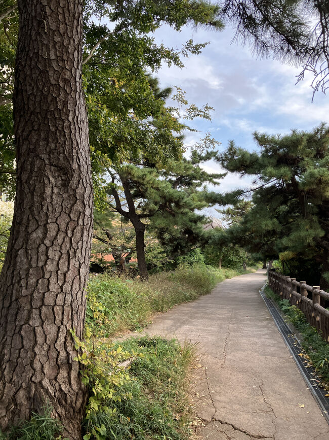 ソフィア散歩みち