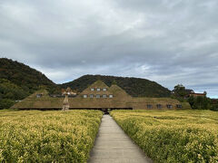一度来てみたかったラコリーナにやってきました(*''▽'')

屋根の芝生が印象的なこの風景が見てみたかったんです！
こりゃ圧巻！
