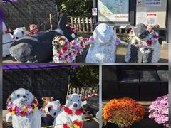 これから菊祭りが始まるみたいで、
手作りの動物達が入り口に待機(笑)