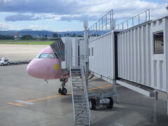 キティちゃんの "Pinky Jet" はこのあと10月21日からは釜山便に就航する予定なので公式路線として搭乗できたのはこれが最後のチャンスだったかな？（仙台便は10月19日まで）。

また仙台便に就航してね！。