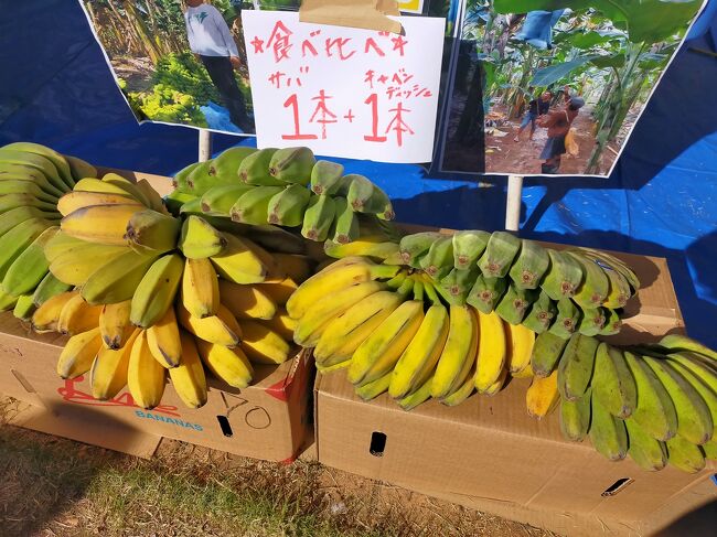 バランゴンバナナではないようだ