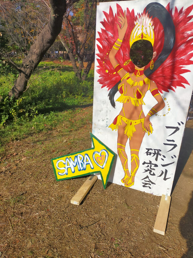 なかなかどうして