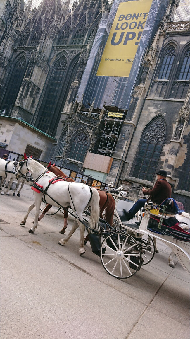 シュテファン大聖堂は一部修復中でした。