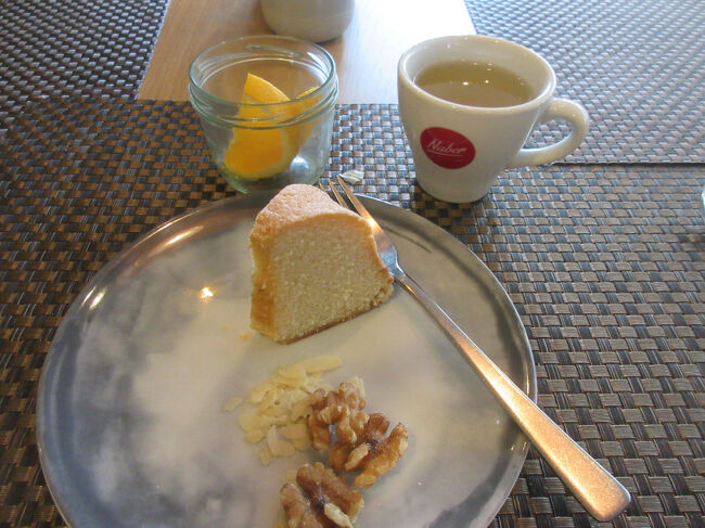 デザートもしっかり食べて、９時すぎくらいに出発です。<br />ウィーン西駅から地下鉄でシュテファンスプラッツ駅へ