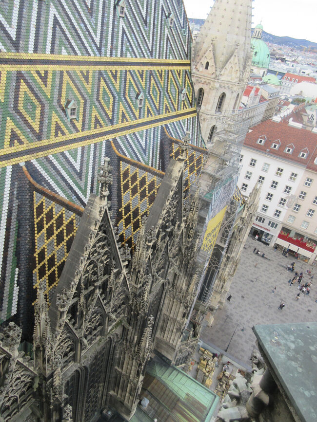 下を見ると、ちょっと怖い。高いところは怖いけれど上るのは好きです。