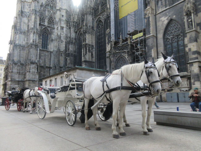 大聖堂の辺りでは、馬車を結構見かけました