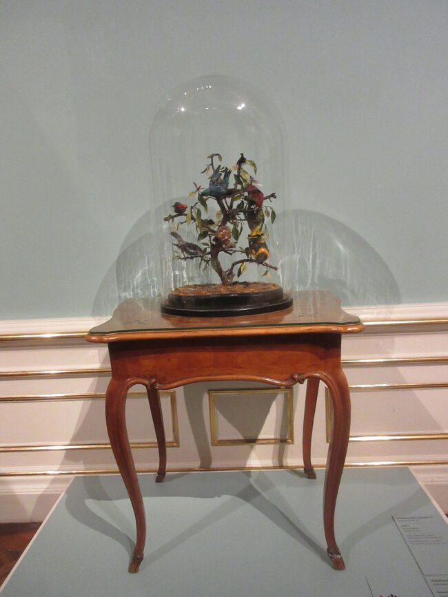 美女と野獣のバラを思い出しました