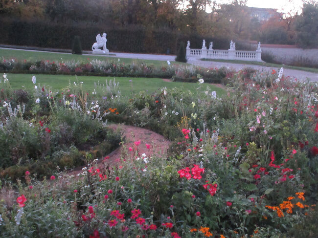 花もちょこちょこ咲いています。