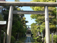 立花大正民家園から北へすぐのところに立花白鬚神社があります。下町の住宅街の中にある神社です。「葛西川の白髭神社」とも呼ばれ、旧葛西川の鎮守として地域に親しまれてきたそうです。