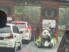 Taman Safari Indonesia Bogorに連れて行っていただきました。
何もしゃべらないで、全員インドネシア人ですっていわれたけど、秒でばれました。
そりゃそうだわw
外国人はインドネシア人の倍入場料がかかるらしいですw
雨でもサファリなら車でまわれるからとつれてきてくれた