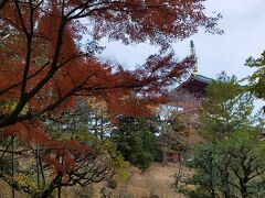 紅葉が良い具合に色づいています。