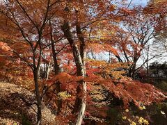 小諸城跡　懐古園