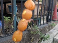 群馬といったらこんにゃく！
味が染みていてめっちゃ美味しい♪