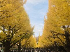 秩父宮ラグビー場前も綺麗