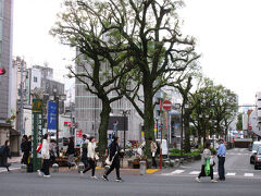 東洋電化中央公園（高知市帯屋町）
「高知市中央公園」がネーミングライツ（命名権）契約で2024年10月から愛称が変更。公共施設を維持管理するための財源確保のためで、年額500万円、3年契約だそうです。
グリーンベルトに自転車を置いて、日曜市を回ります。