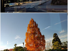 20分ほどで国際会館駅へ到着。
次の目的地はおけいはんの淀駅。バスは出町柳駅へ行くのかと思ったら、ここが終点でした。