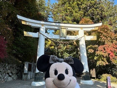 歩いて20分ほどで宝登山神社に到着。ひー…暑い暑い！
こちらも程よい混み具合で良い感じ。外国人が全然いないからかめっちゃ静かだわ。
秩父、まだバレてない？？