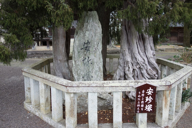 太い木の間に建てられた石碑には、安珍塚の文字。<br />ここに安珍と釣り鐘が埋められていると伝えられています。