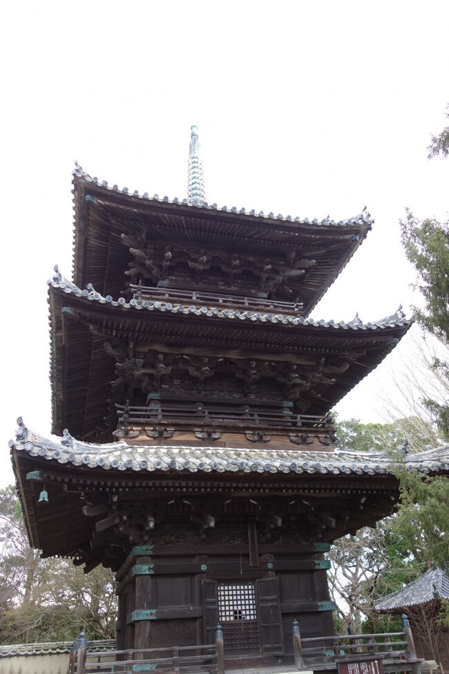 元禄13年(1763)に再建された三重塔。道成寺7不思議の一つに挙げられています。<br />三重塔の屋根には特徴があり、一、二階は並行垂木、三階だけ扇垂木の工法が使用されています。三重塔を再建していた棟梁が、一、二階を組み上げてから休んでいると、通りがかった巡礼に扇垂木工法の方が見映えがよくなると教えられ、実際に三階に組み込んでみるとその通りになったそうです。棟梁は、一、二階も扇垂木工法を用いればよかったと大いに悔やみ、素人に教えられるとはと三重塔完成後にノミを口にくわえて、塔から飛び降りてしまったという伝説が残されています。<br />大黒柱として、隣町の妙見神社の御神木であったヒノキが使われているそうです。