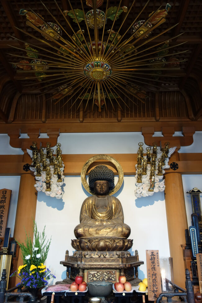 天蓋も立派な念仏堂のご本尊・五劫思惟阿弥陀如来。<br />ヘルメットのようにも見える長い螺髪は、仏が人々を救うために数え切れないくらいの長い間、瞑想し続けた姿が現されています。<br />京都の金戒光明寺でも見かけたことがあります。