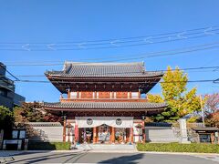 伝通院(小石川3丁目)
正式名は無量山伝通院寿経寺
徳川将軍家の菩提寺(寛永寺、増上寺だけじゃないのです)で、徳川家康公の母、於大の方の法名が伝通院でした。千姫の墓所も此処です