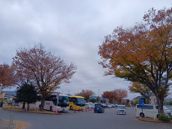 道の駅にも赤い紅葉木々があちこち見られます。予報は晴れですが、朝は曇り空です。