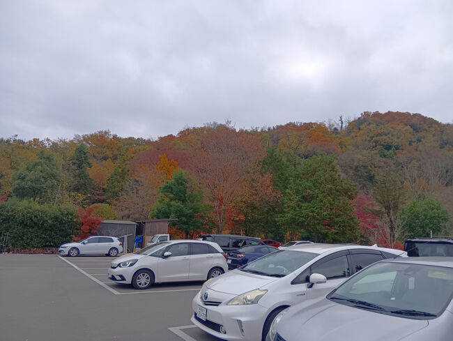 高崎市内とはいえ山に結構近いです。山はご覧のように赤く美しく色づいています。