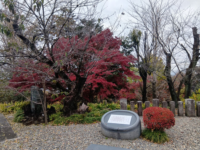 ミニ庭園のような美しい景観です。