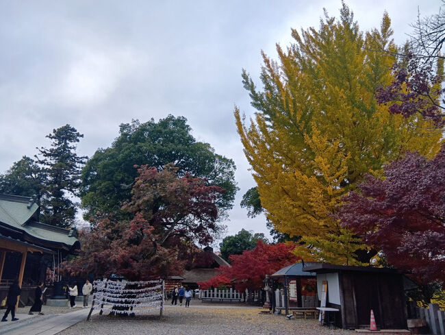 曇り空ながらも3色の艶やかな木々の美しい光景です。