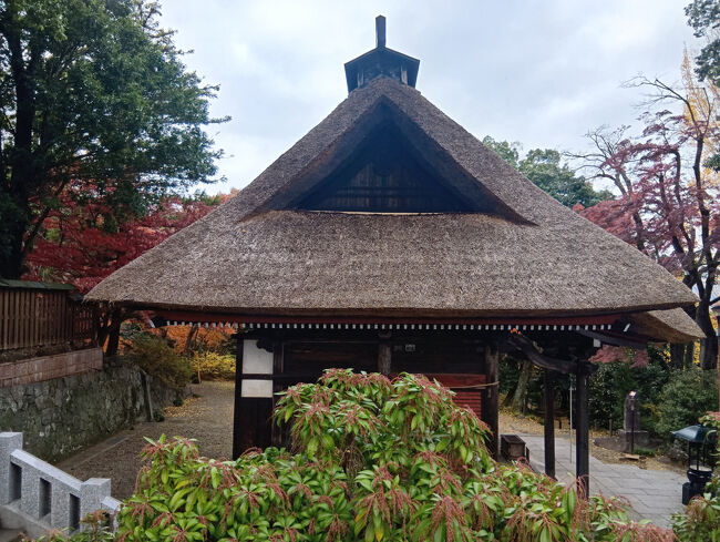 観音堂です。藁葺屋根の寺院、結構珍しいような気がします。