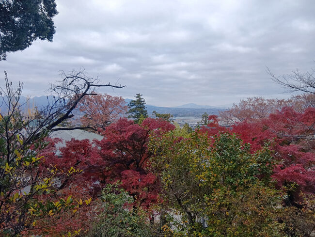 眼下の緑と真っ赤な紅葉木々と遠方の高崎市街の景色も絶句するほど素晴らしいです！