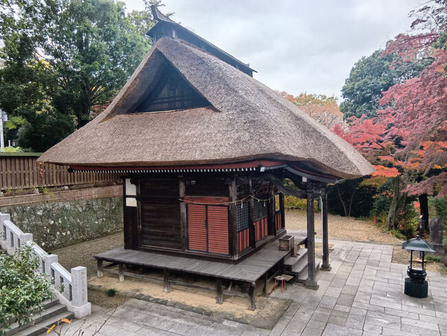 観音堂の壁も含めて見事な美しい景観です。周囲の紅葉も良いですね。