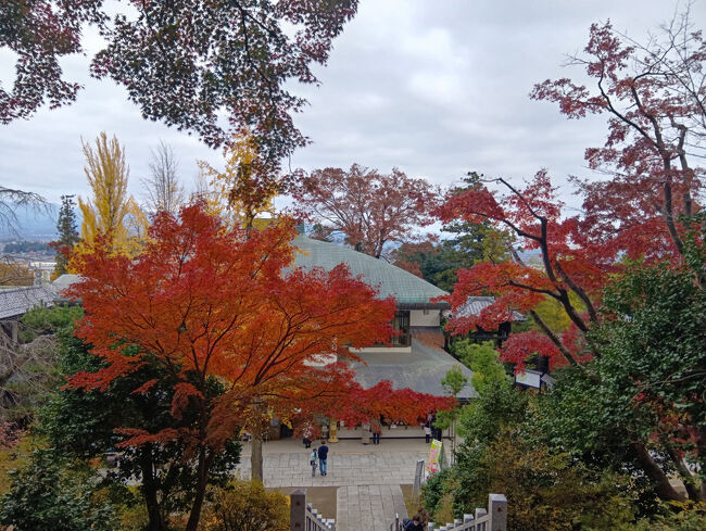 下には艶やかで美し過ぎる紅葉越しに瑞雲閣が見えます。壮大な寺社です。